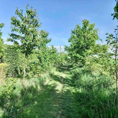 Le Domaine Reserve , Parking Et Ecrin De Verdure アミアン エクステリア 写真