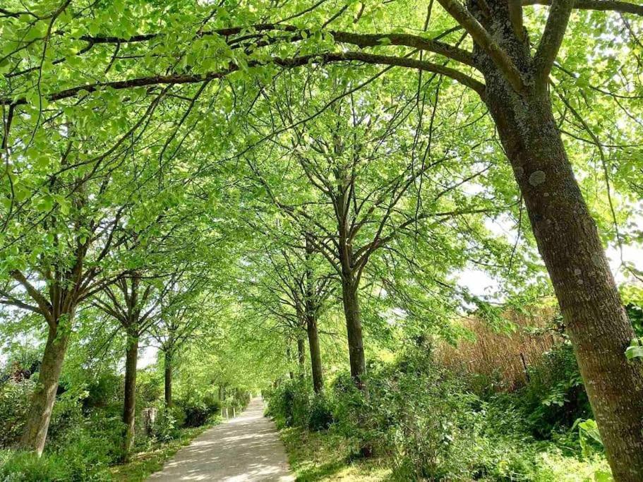 Le Domaine Reserve , Parking Et Ecrin De Verdure アミアン エクステリア 写真