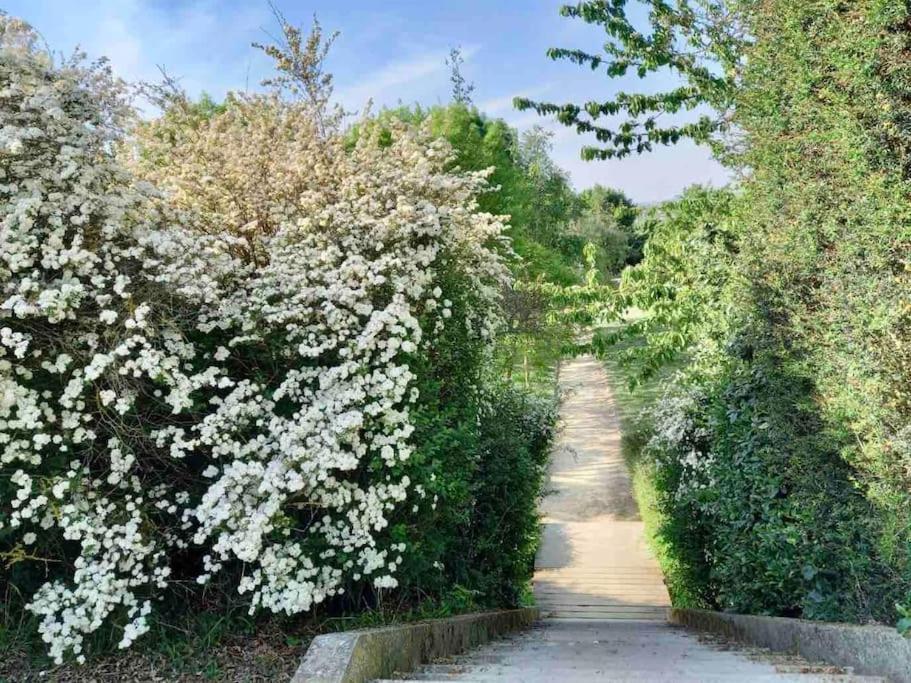 Le Domaine Reserve , Parking Et Ecrin De Verdure アミアン エクステリア 写真